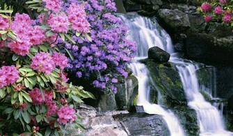 Waterfall In Crystal Springs Garden