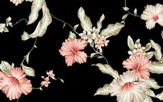 Hibiscus Wallpaper X Net