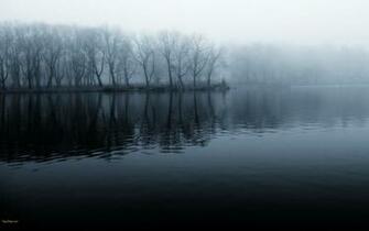 Foggy Morning Wallpaper