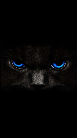 Black And Blue iPhone Wallpaper