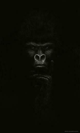 Gorilla By Logartis Deviantart Tattoo Monkey Art