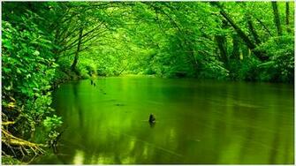Green Nature Stream Trees Water IwallHD Wallpaper HD
