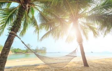 Wallpaper Sand Sea Wave Beach Summer The Sky Sun Palm