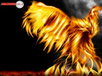 Cool Fire Wallpaper HD Pics