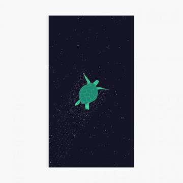 Space Turtle Poster By Muk98