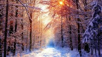 Wallpaper Proslut Full Size Ice Mountains Forest HD Nature Background