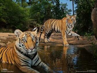National Geographic Magazine Ngm