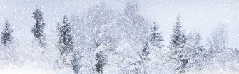 Winter Snow Ultra HD Desktop Background Wallpaper For 4k UHD Tv