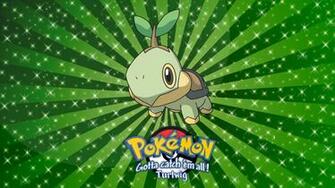 Turtwig Wallpaper