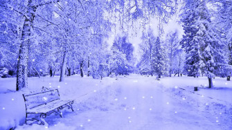 Snow Wallpaper HD