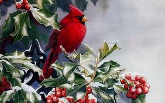Winter Cardinal Bird Widescreen Desktop Wallpaper Attachment