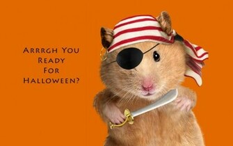 Funny Rabbit Halloween Style HD Wallpaper