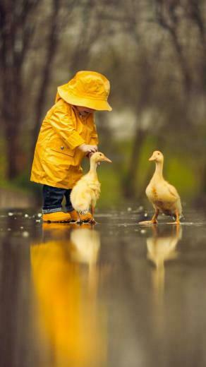 Chandu On Animals Rainy Day Photos Fair Weather Friends