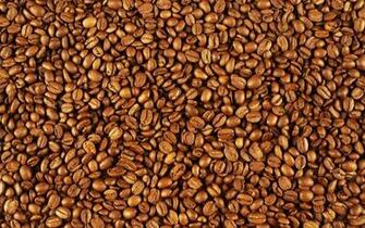 Lockration Coffee Quotes