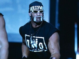 Hulk Hogan Wallpaper