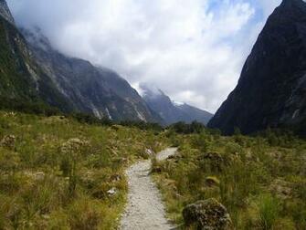 Trail Running Wallpaper Backdrops