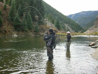 Fly Fishing Wallpaper For Pc And Mac Troutnut