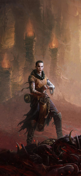 Cropped And Adjusted Monk Phone Wallpaper R Diabloimmortal