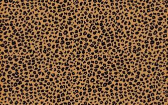 Dik Safari Punda Melia Twiga Cheetah Chui