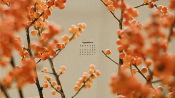 September Wallpaper Desktop Phone Calendars