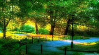 Beautiful Scenery Background