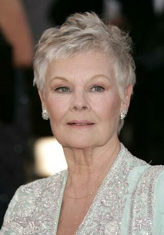 Fallen By Lauren Kate Image Judi Dench Miss Sophia HD Wallpaper