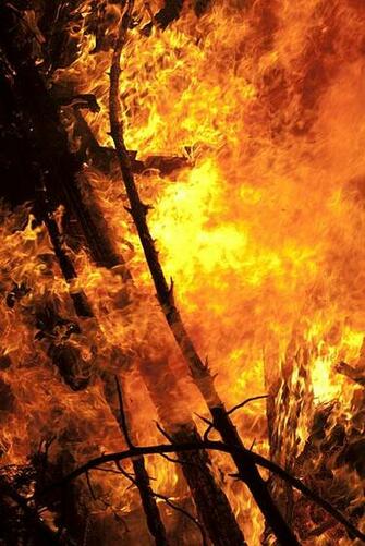 Ideas About Fire Tornado Tornados