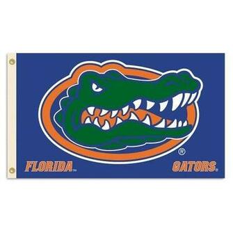 Florida Gators Merchandise Wallpaper Pomsky Puppies Gallery