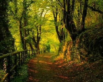 Autumn Desktop Pc And Mac Wallpaper