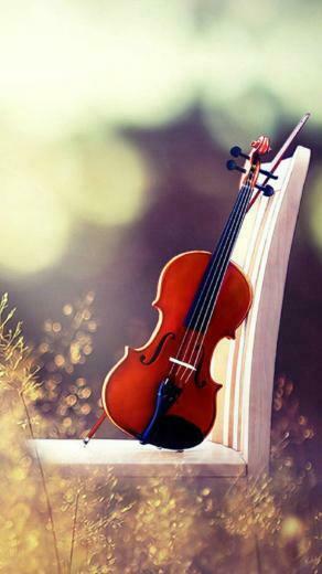 Beautiful Violin Wallpaper