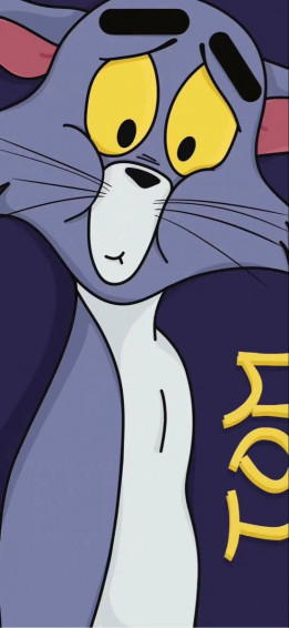 Tom Jerry iPhone 14pro Max Wallpaper