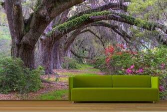 3d Wall Murals The Mural Idea Is Quite Nice But This Just Way