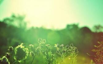 Ambient Background