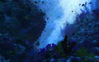 3d Underwater Wallpaper