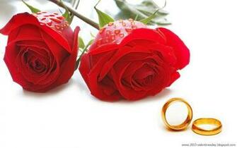 Rose Day HD Wallpaper And Red Pictures