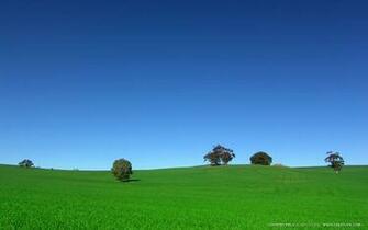 Widescreen Landscape Wallpaper X