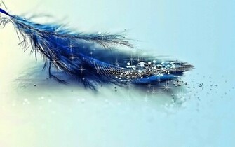 Blue Feather Wallpaper Glitter HD