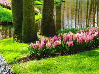 Beautiful Spring Day Wallpaper