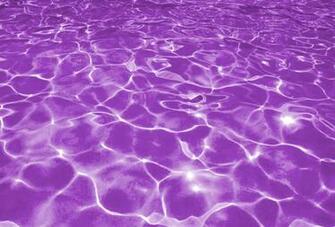 Nevada Desert Mermaids Our Pool