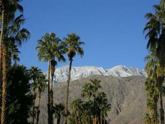 About Palm Springs Official California Tattoo Design