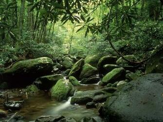 Related Wallpaper Places Tennessee Smoky Mountain