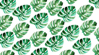 Aesthetic Summer Desktop Wallpaper HD