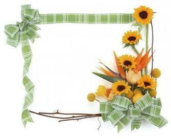 Flower Frame Wallpaper HD Wide