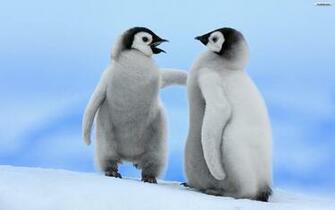 Youwall Penguins Wallpaper