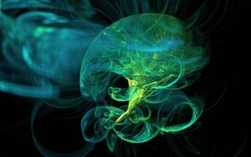Nicotine Jellyfish HD Wallpaper Background Image