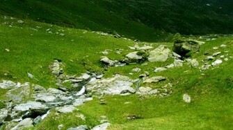 Incredible Nature Full HDtv Wallpaper