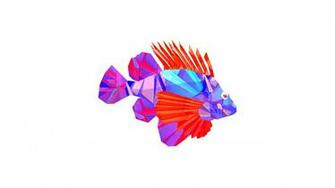 Justin Maller Abstract Animals Digital Art Fish Wallpaper HD Walls