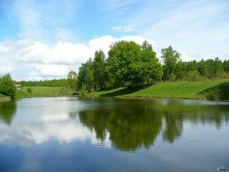 Pond Wallpaper