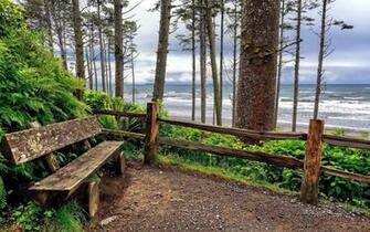 Ruby Beach Washington State Usa X Locality
