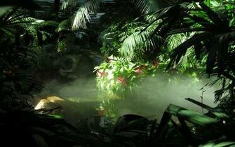 Jungle HD Wallpaper For Mac Amazing Wallpaperz